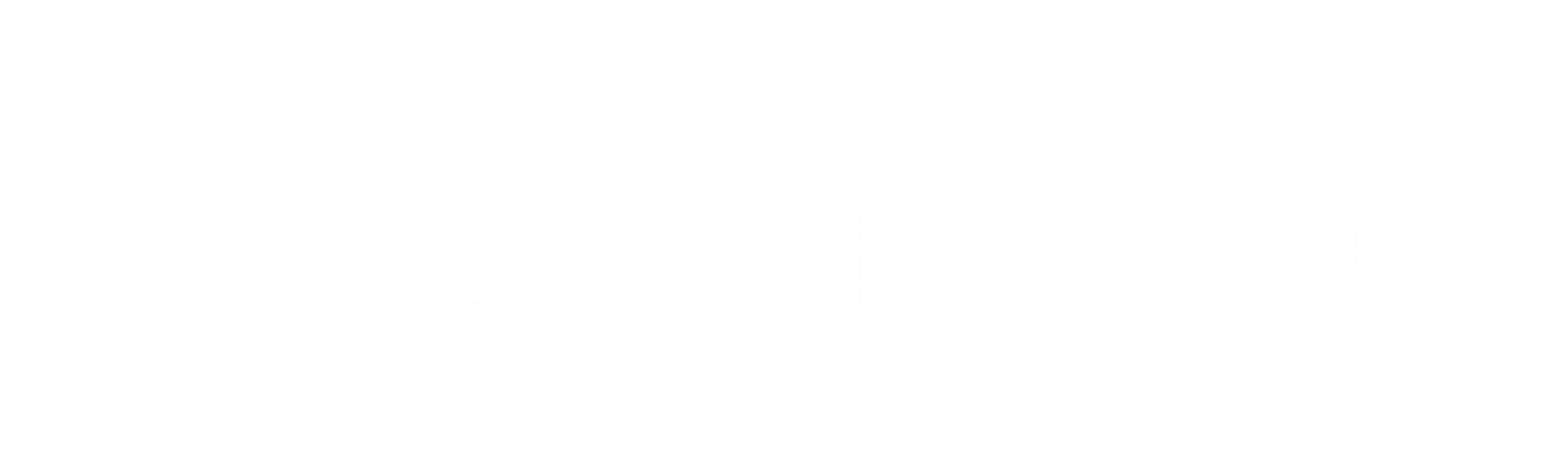 Expertos